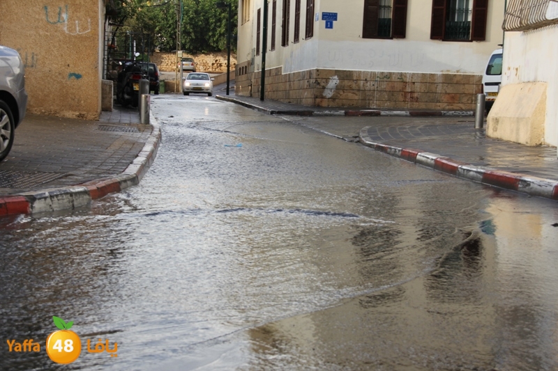 rain in yaffa921 (10).JPG
